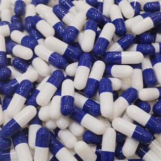 サイズ4の空カプセル